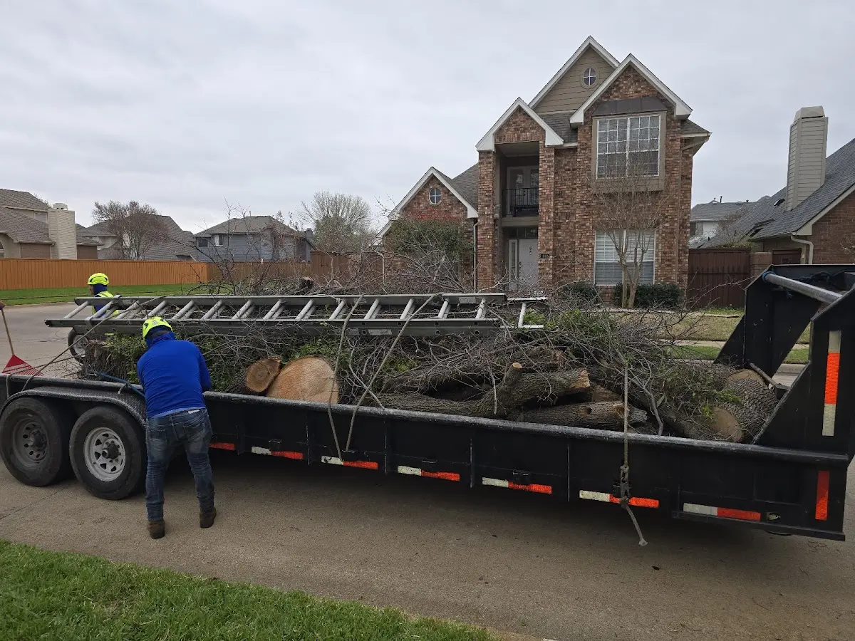 Expert Tree Fertilization with proper safety equipment in Wardsboro